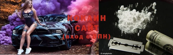молекула духа Алзамай