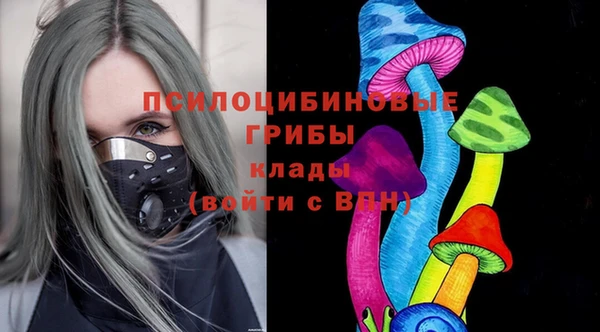 эйфоретик Алексин